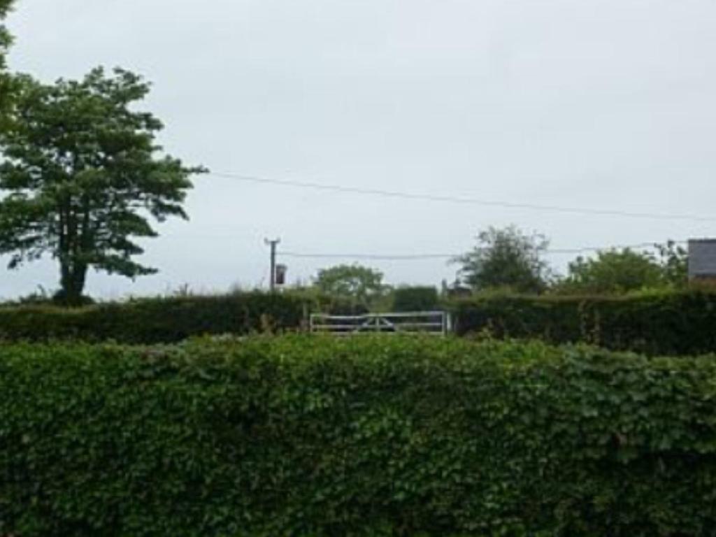 The Old Shop Llandyfrydog Exterior foto